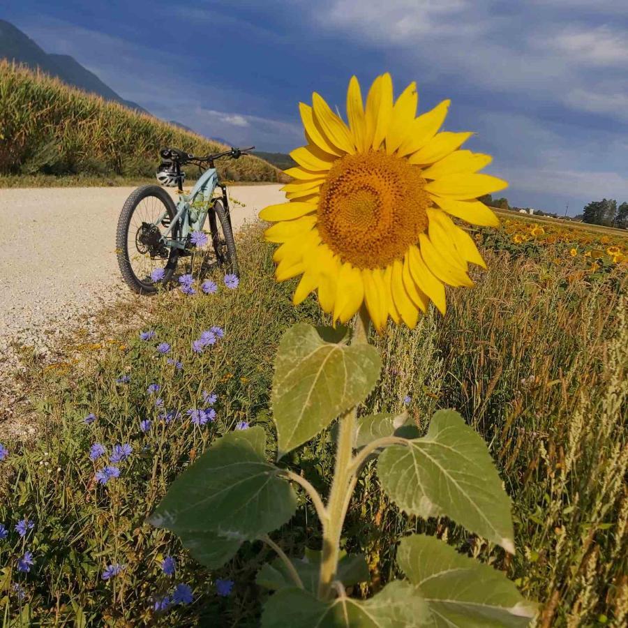 Bikeski Family Hotel, B&B, Apartaments, Rooms Mezica Экстерьер фото